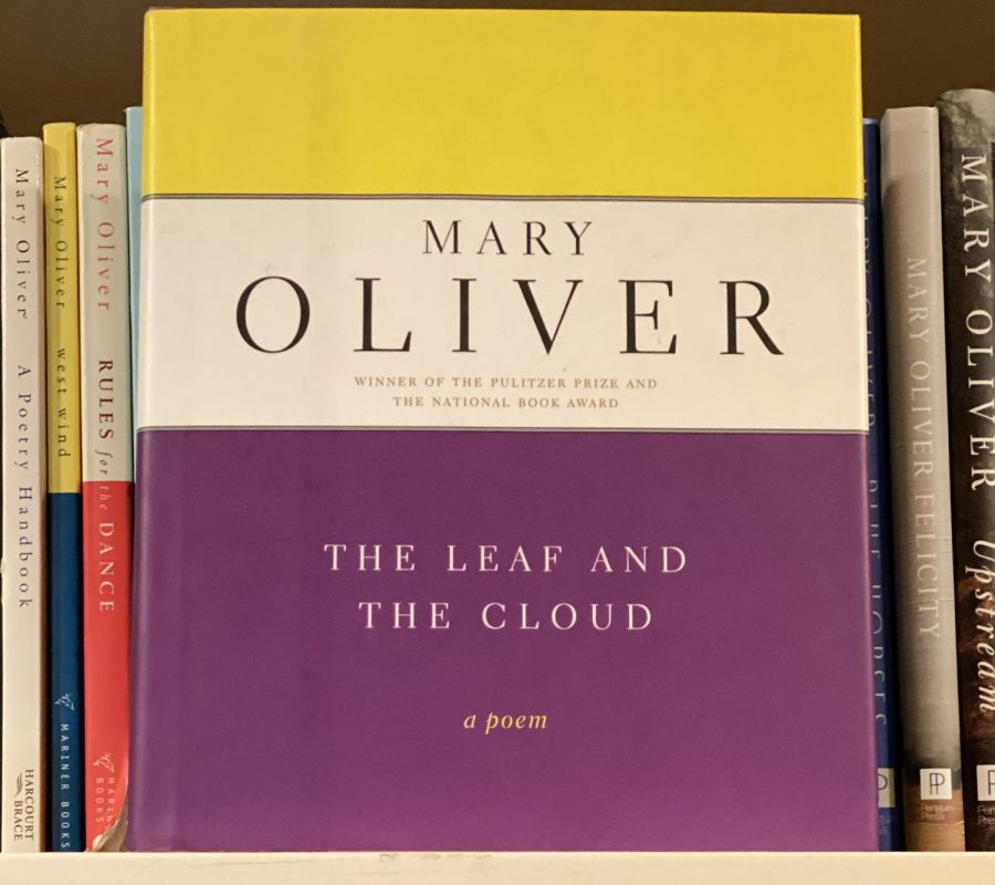 Retrospective: Mary Olivers The Leaf and the Cloud