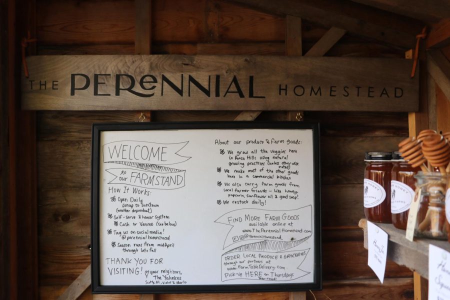 A whiteboard informers visitors to the farm stand at Perennial Homestead how to pay for their products and what items are being featured at a given time.