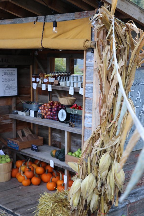 The farm stand has become an eye-catching feature of Ponca Road.