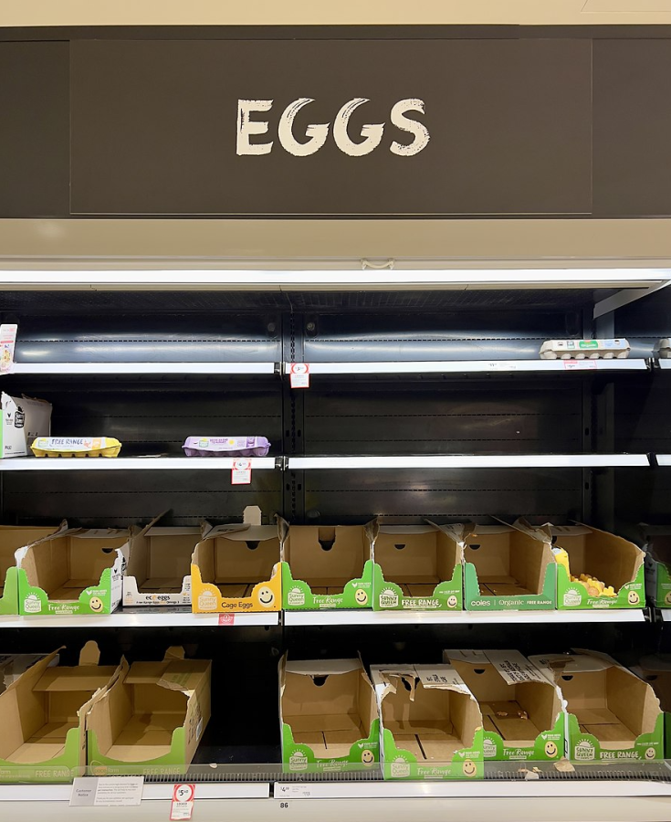 Keeping Your Eggs Out of the Same Basket The Thrills and Challenges of