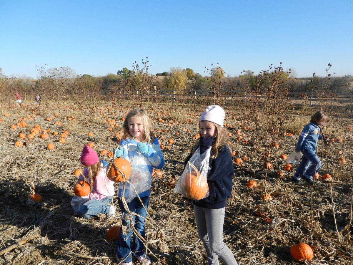 Visiting a pumpkin patch has long been a favorite activity around Halloween. 