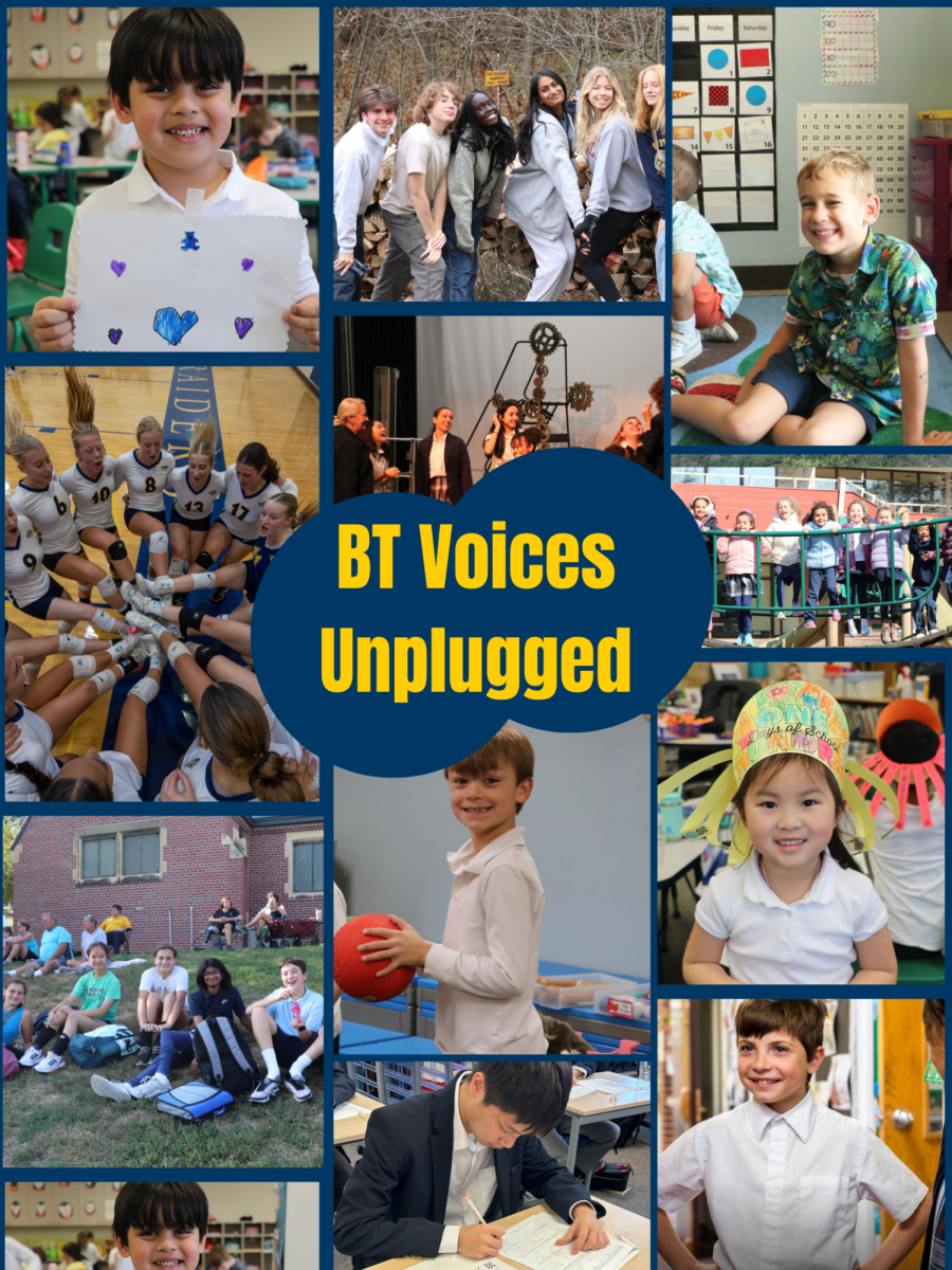 BT Voices Unplugged