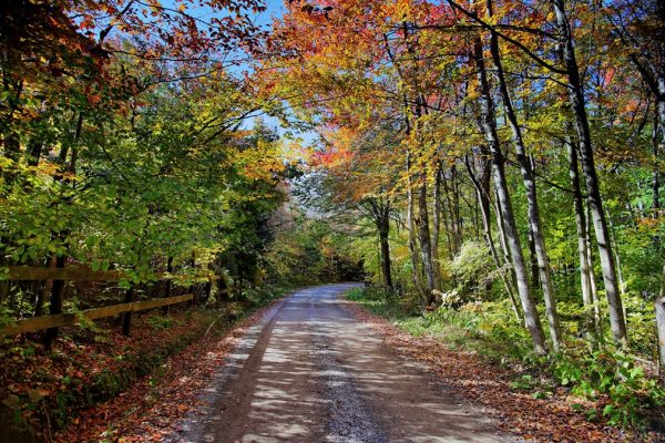Autumn Awaits: Your Guide to Having the Perfect Fall Season