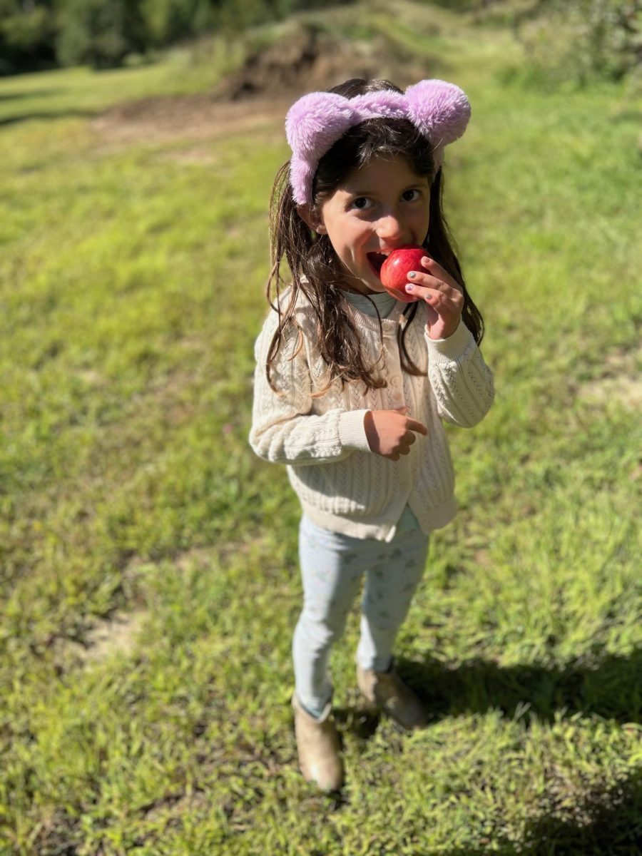 It's Apple Pickin' Season!