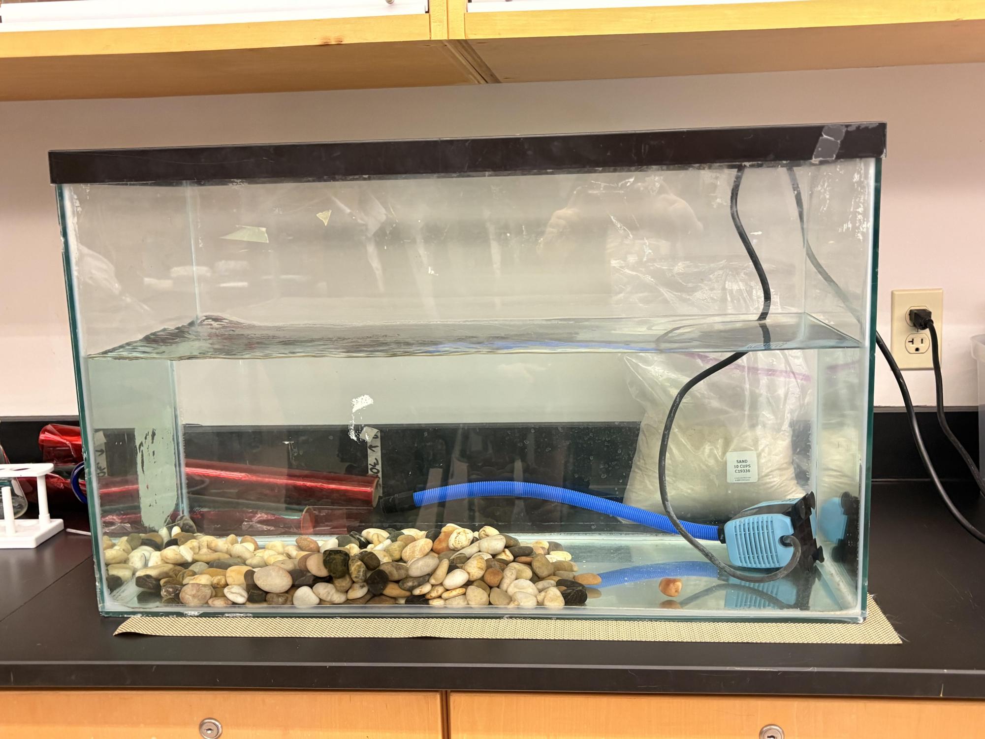 An image of Mr. Sanders tank that has the potential to hold a new class pet