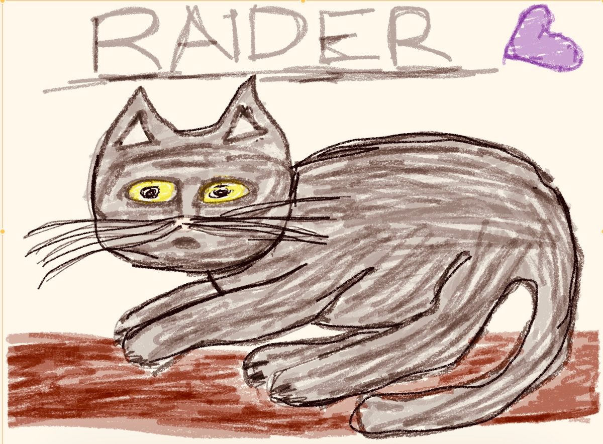 No known images of Raider the cat exist, but this well-drawn likeness accurately captures the cat's insouciance.