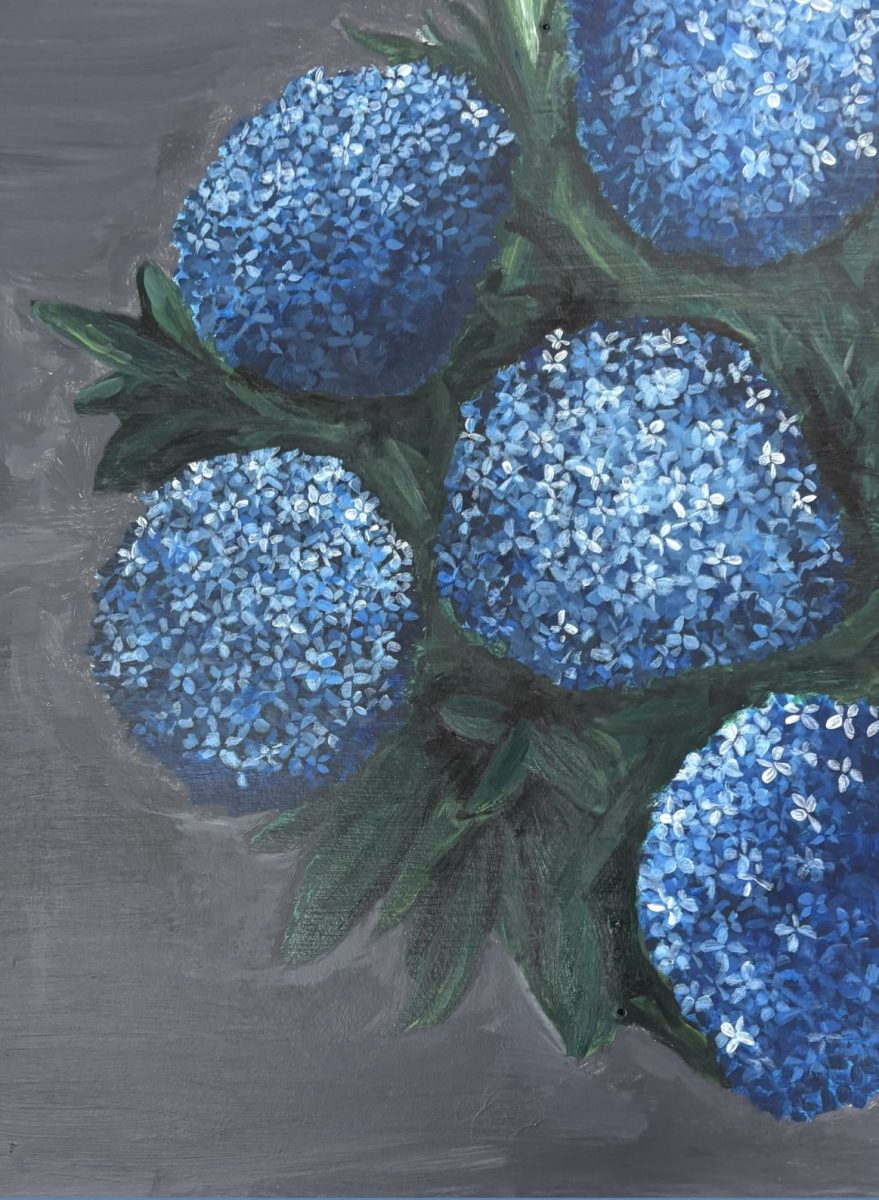 "Hydrangea" by JoJo Anderson